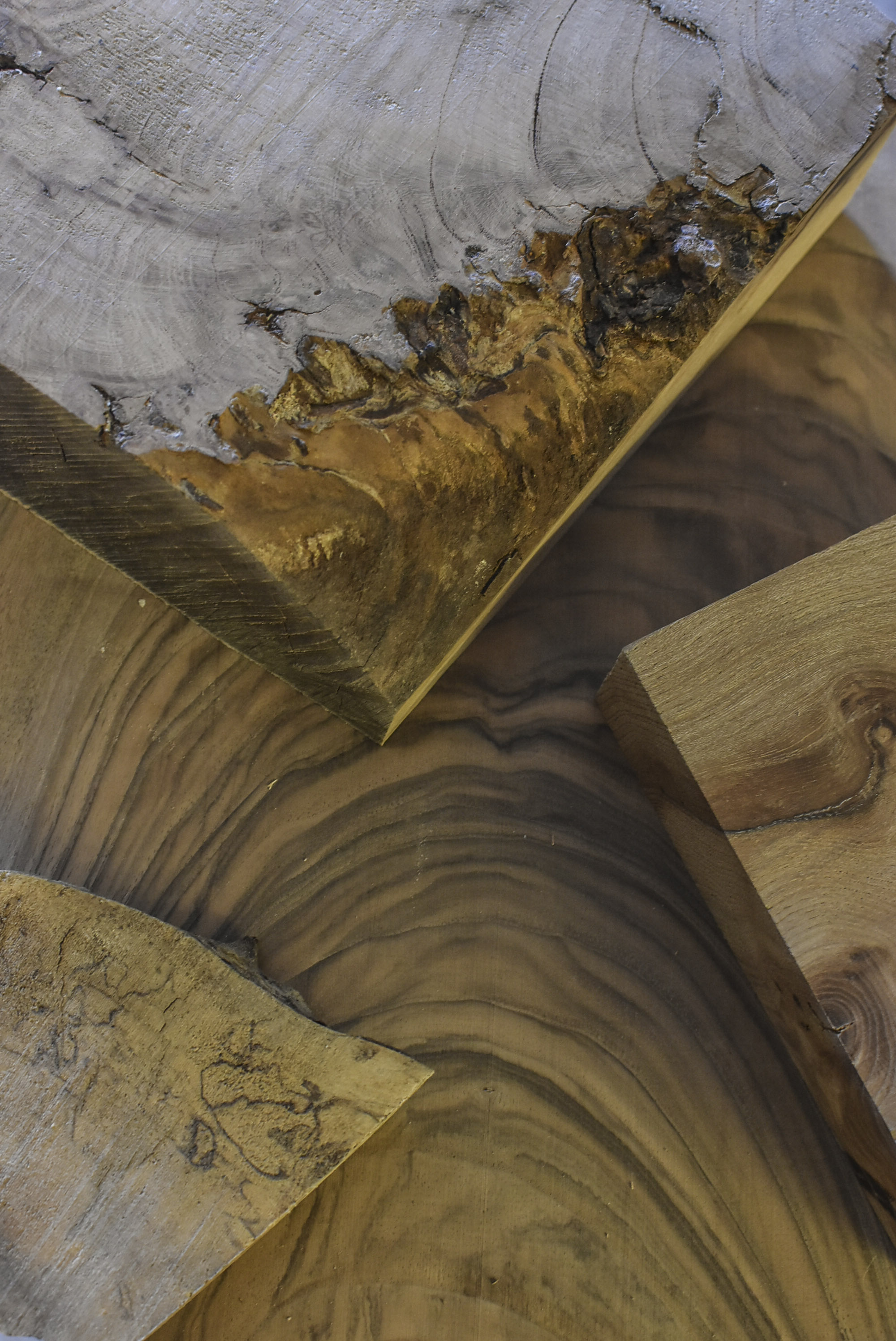 Photos de bois utilisés par Ujazi Didgeridoo : vue d'un morceau de noyer, de merisier et d'orme